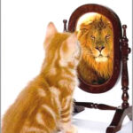 The attitude of high self-esteem, does it help you or hinder you? Here is your answer...