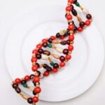 DNA tests for diets... are they useful, or are they a fraud?