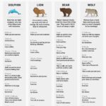 4 types of animals... which one sleeps like you should